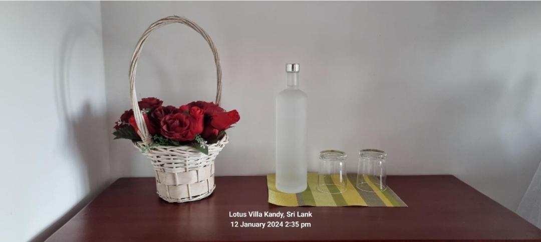 Lotus Villa Kandy เปราเดนิยา ภายนอก รูปภาพ