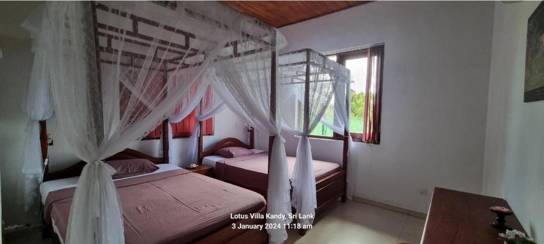 Lotus Villa Kandy เปราเดนิยา ภายนอก รูปภาพ