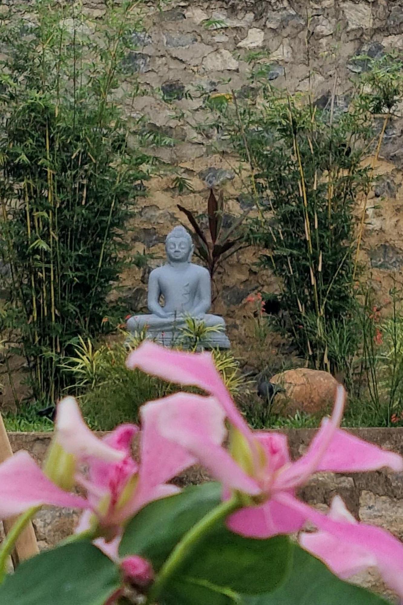 Lotus Villa Kandy เปราเดนิยา ภายนอก รูปภาพ